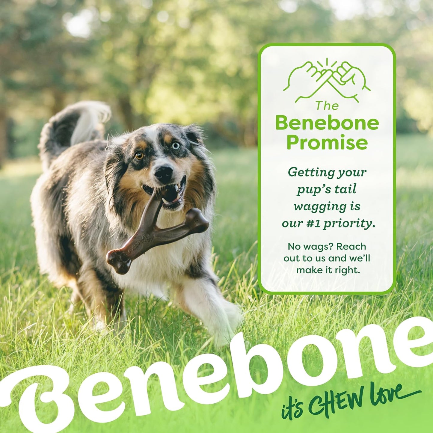 2-Pack Wishbone Chew Toy for Aggressive Chewers, Real Bacon, Large