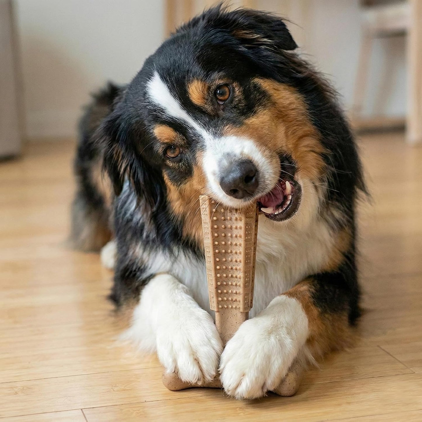 Bam-Bones Plus T-Bone Chew Toy for Dogs - Durable Bamboo & Nylon, Chicken Flavor, Perfect for Medium Chewers 30-60 lbs