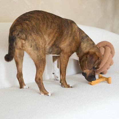 Bam-Bones plus T Bone - Bamboo Fiber & Nylon, Durable Long Lasting Dog Chew for Aggressive Chewers – Toy for Dogs & Puppies under 60Lbs, Non-Splintering, 6In, Allergen Free Peanut Butter Flavor