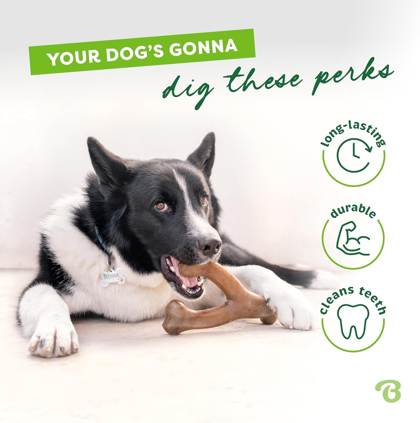 2-Pack Wishbone Chew Toy for Aggressive Chewers, Real Bacon, Large