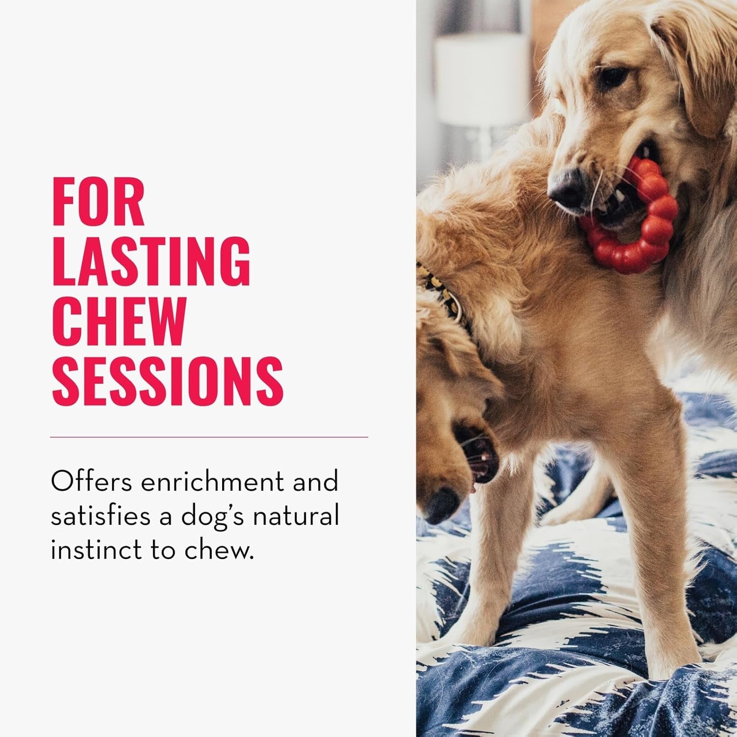 Ring - Natural Rubber Ring Toy for Healthy Chewing Habits - Chew Toy Supports Dog Dental Health - Dog Toy Supports Instincts during Playtime - for Medium/Large Dogs