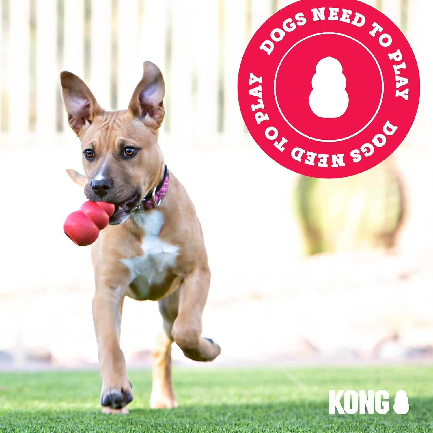 Classic Stuffable Dog Toy - Fetch & Chew Toy for Dogs - Treat-Filling Capabilities & Erratic Bounce for Extended Play Time - Durable Natural Rubber Material - for Small Dogs (Pack of 2)
