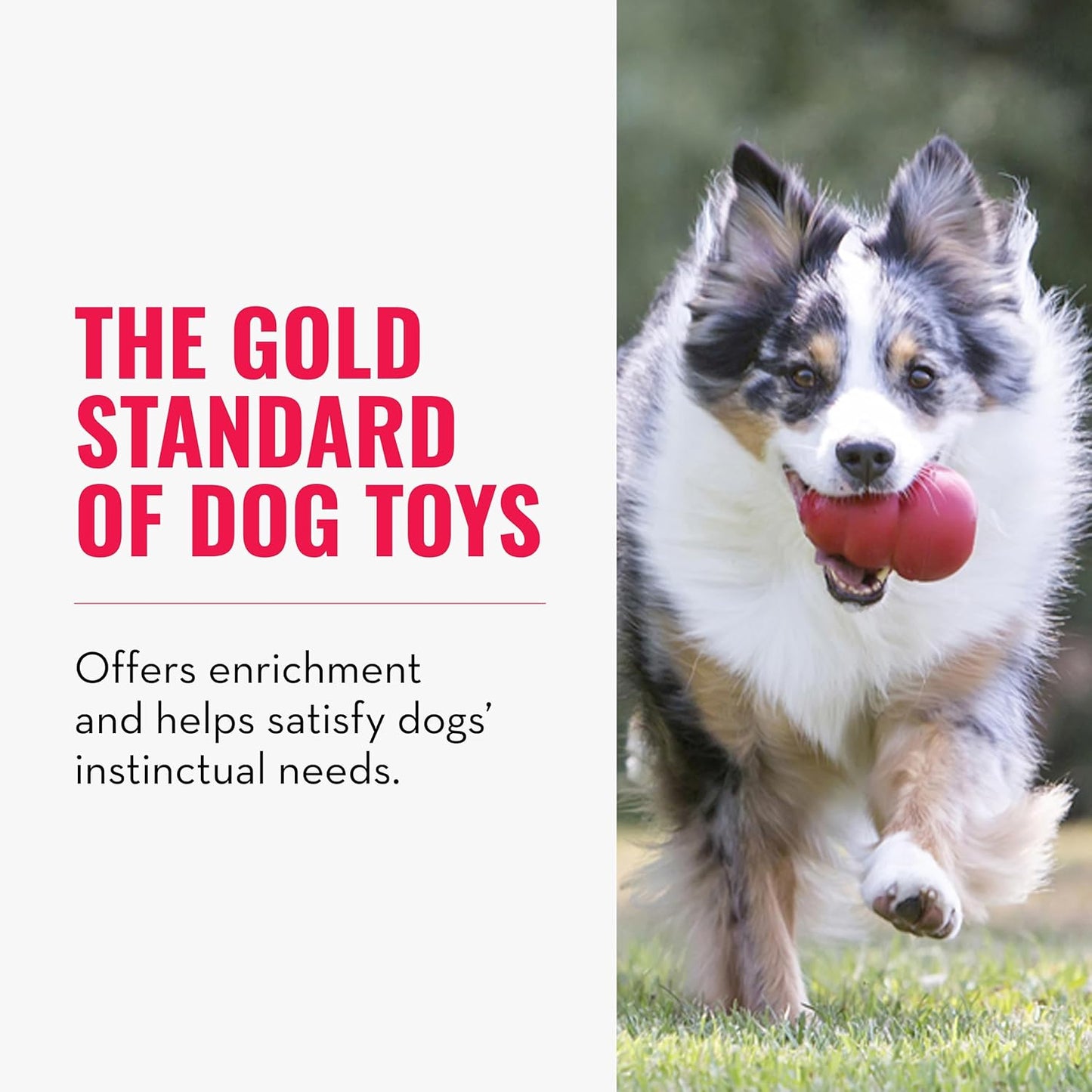 Classic Stuffable Dog Toy - Fetch & Chew Toy for Dogs - Treat-Filling Capabilities & Erratic Bounce for Extended Play Time - Durable Natural Rubber Material - for Medium Dogs