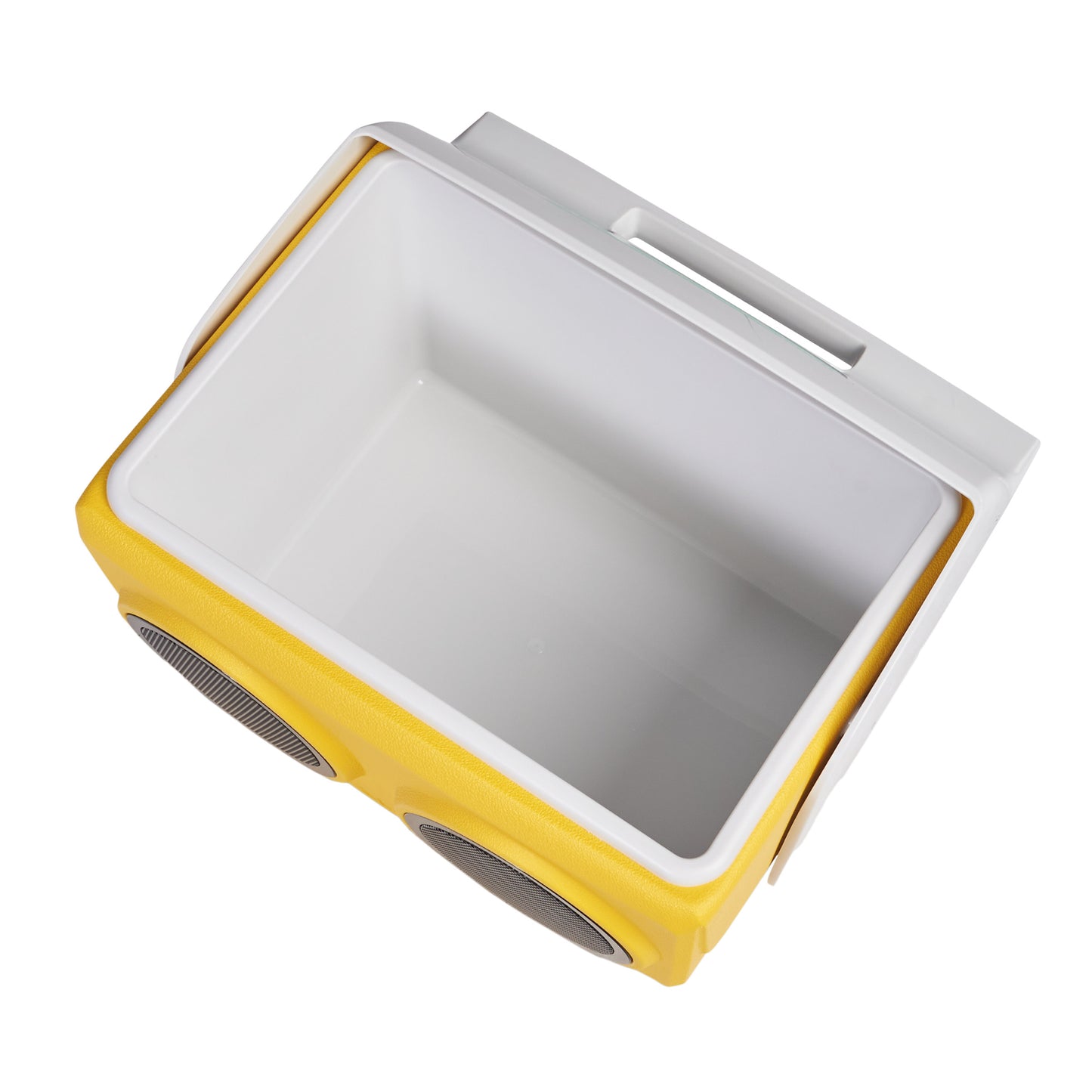 Igloo Kooltunes Bluetooth Speaker Cooler
