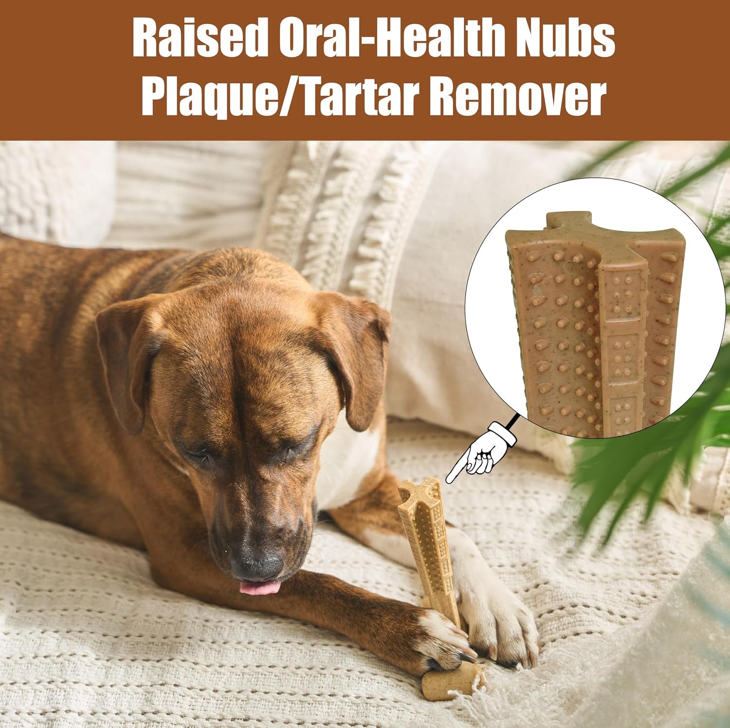 Bam-Bones Plus T-Bone Chew Toy for Dogs - Durable Bamboo & Nylon, Chicken Flavor, Perfect for Medium Chewers 30-60 lbs