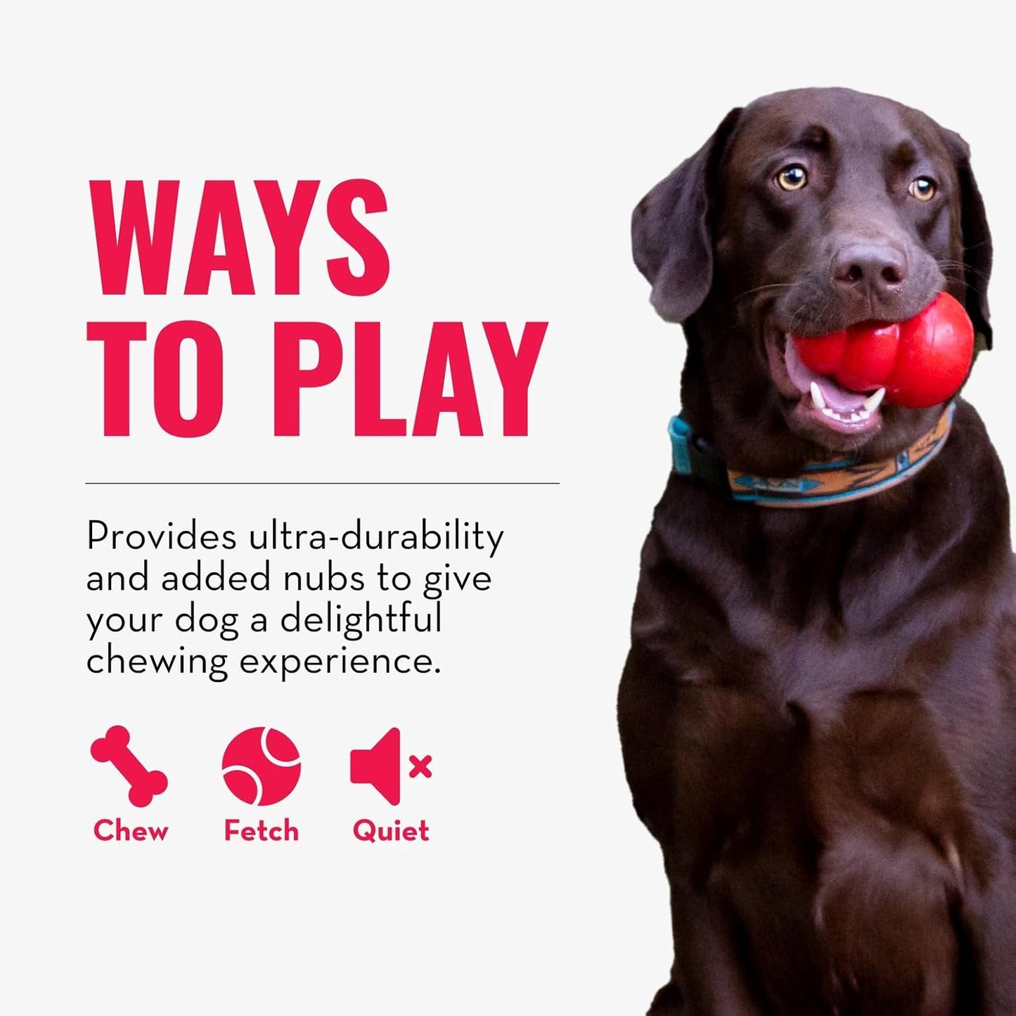 Ring - Natural Rubber Ring Toy for Healthy Chewing Habits - Chew Toy Supports Dog Dental Health - Dog Toy Supports Instincts during Playtime - for Small/Medium Dogs