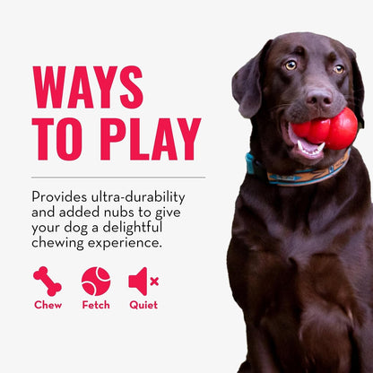 Ring - Natural Rubber Ring Toy for Healthy Chewing Habits - Chew Toy Supports Dog Dental Health - Dog Toy Supports Instincts during Playtime - for Small/Medium Dogs
