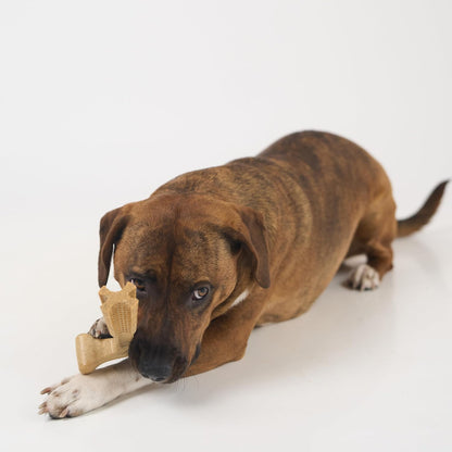 Bam-Bones Plus T-Bone Chew Toy for Dogs - Durable Bamboo & Nylon, Chicken Flavor, Perfect for Medium Chewers 30-60 lbs