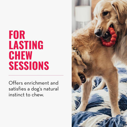 Ring - Natural Rubber Ring Toy for Healthy Chewing Habits - Chew Toy Supports Dog Dental Health - Dog Toy Supports Instincts during Playtime - for Small/Medium Dogs