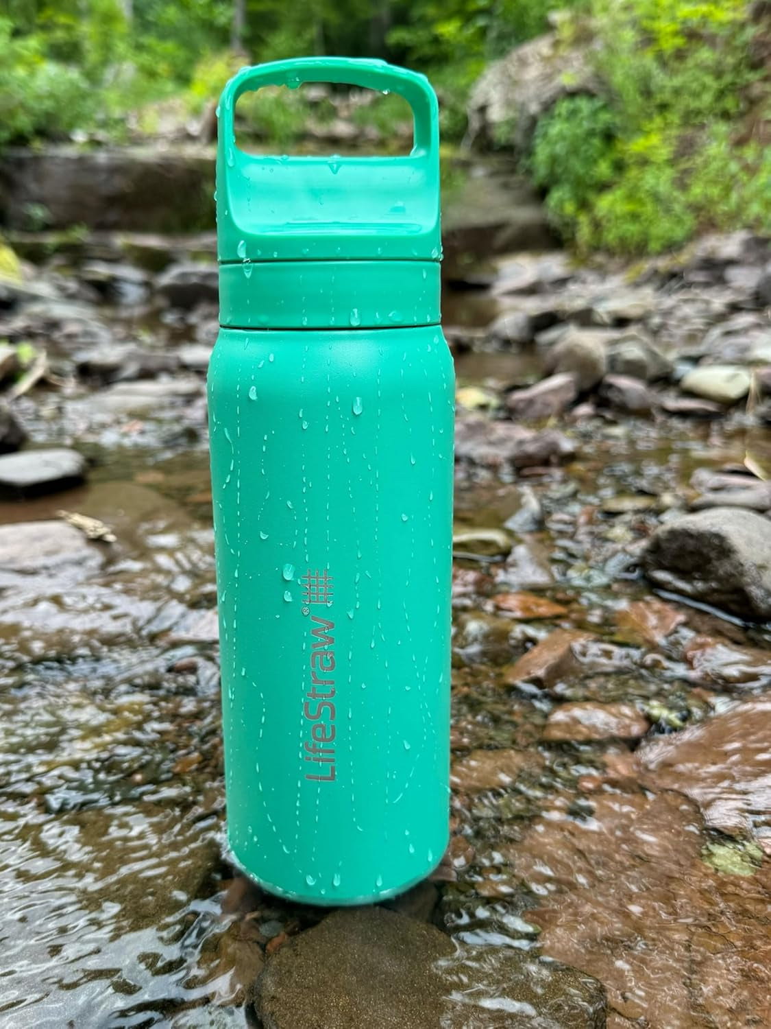 Go Series — Insulated Stainless Steel Water Filter Bottle for Travel and Everyday Use Removes Bacteria, Parasites and Microplastics, Improves Taste, 24 Oz, Cactus Green