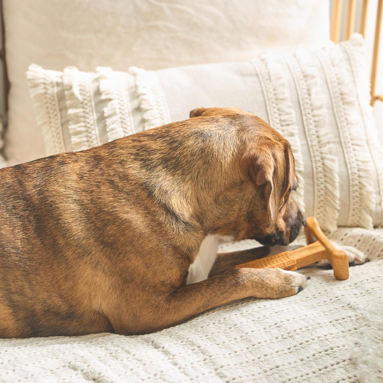 Bam-Bones plus T Bone - Bamboo Fiber & Nylon, Durable Long Lasting Dog Chew for Aggressive Chewers – Toy for Dogs & Puppies under 60Lbs, Non-Splintering, 6In, Allergen Free Peanut Butter Flavor