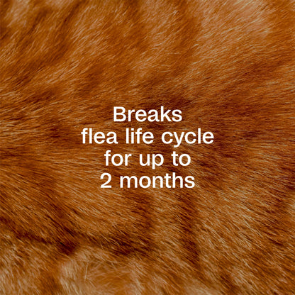 (2 Pack)  Flea & Tick Spray for Cats, Kills Fleas and Ticks, Prevents Flea Infestations for up to 2 Months, Flea Treatment for Cats & Kittens, 16 Fl Oz