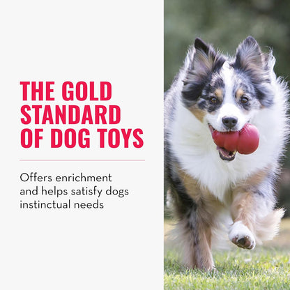 Classic Stuffable Dog Toy - Fetch & Chew Toy for Dogs - Treat-Filling Capabilities & Erratic Bounce for Extended Play Time - Durable Natural Rubber Material - for Small Dogs (Pack of 2)