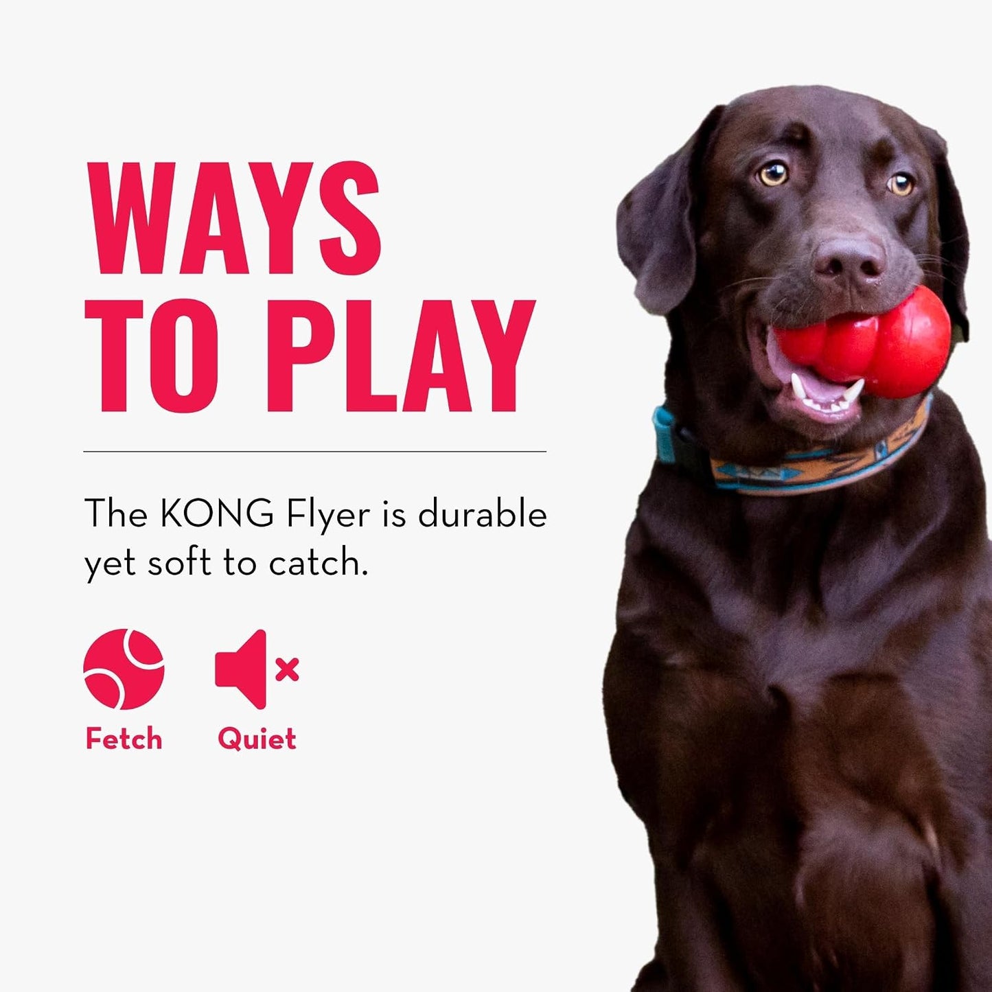 KONG Flyer - Ultimate Durable Dog Fetch Toy for Small Dogs - Natural Rubber Flying Disc (2-Pack) for Active Outdoor Playtime