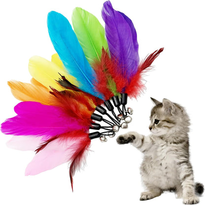Cat Feather Toys Refill, 16 Pieces Cat Wand Replacement Feathers Toy for Indoor Cats