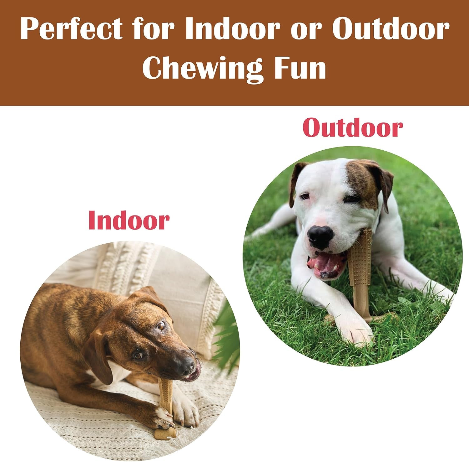 Bam-Bones Plus T-Bone Chew Toy for Dogs - Durable Bamboo & Nylon, Chicken Flavor, Perfect for Medium Chewers 30-60 lbs