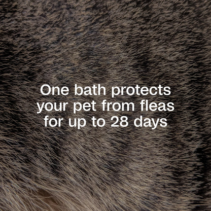 plus Flea & Tick Shampoo with Precor for Dogs, Cats, Puppies & Kittens, Flea Shampoo to Treat Flea Infestations, Kills Ticks, Fleas, Flea Eggs & Lice, Cleans and Conditions Coat, 12 Fl Oz