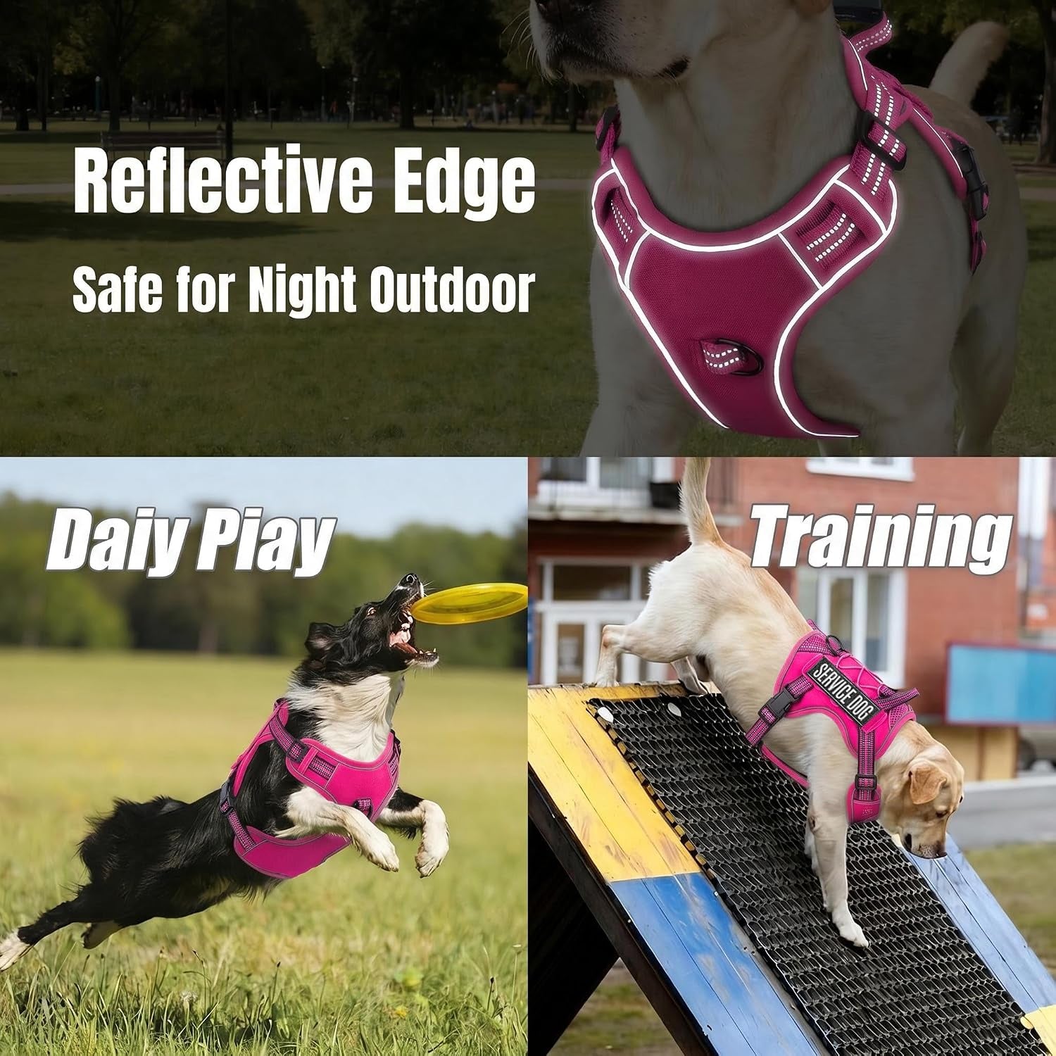 Service Dog Tactical Vest Harness and Leash Set Large Sized Dog Emotional Support- Tactical Dog Harness Training Collar with Name (Rose Red, L)