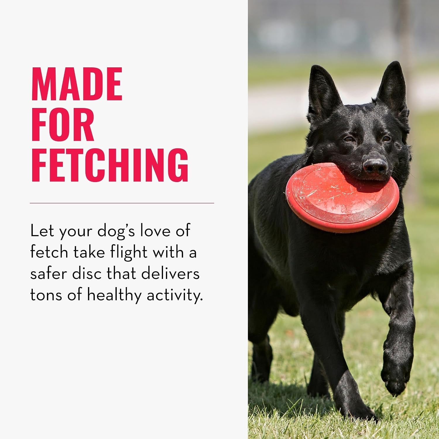 KONG Flyer - Ultimate Durable Dog Fetch Toy for Small Dogs - Natural Rubber Flying Disc (2-Pack) for Active Outdoor Playtime