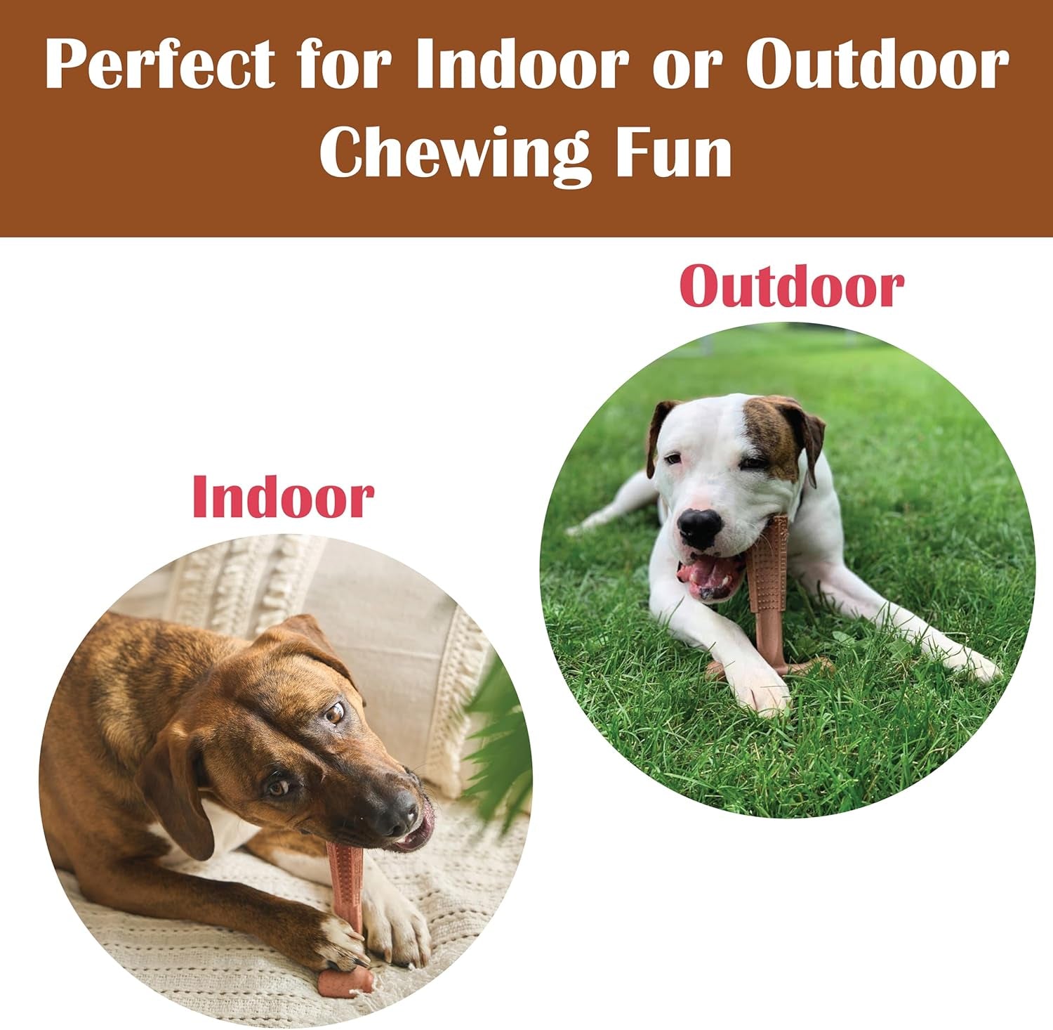 Bam-Bones plus T Bone – Bamboo Fiber & Nylon Dog Chew Toy for Moderate to Aggressive Chewers, Durable Long Lasting & Non-Splintering, Beef Flavor Toy for Adult Dogs & Puppies under 60 Lbs, 6 In
