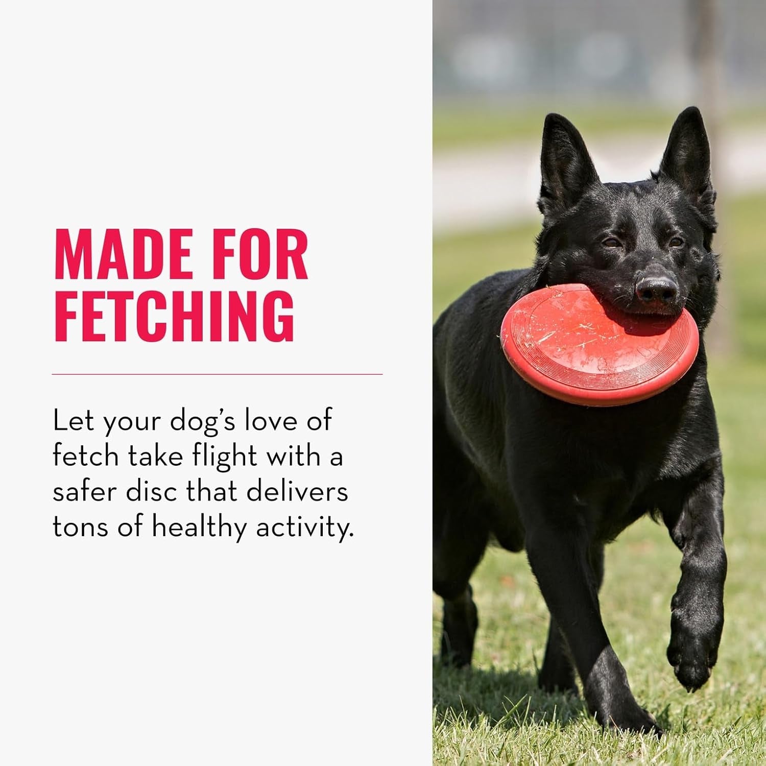 Flyer - Durable Dog Toy for Outdoor Playtime - Natural Rubber Flying Disc, Dog Toy for Fetch - Safer Disc for Healthy Activity - for Medium/Large Dogs