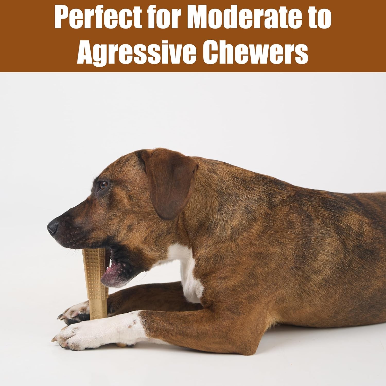 Bam-Bones Plus T-Bone Chew Toy for Dogs - Durable Bamboo & Nylon, Chicken Flavor, Perfect for Medium Chewers 30-60 lbs