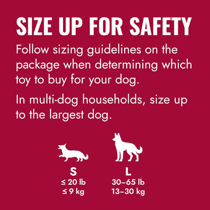 KONG Flyer - Ultimate Durable Dog Fetch Toy for Small Dogs - Natural Rubber Flying Disc (2-Pack) for Active Outdoor Playtime