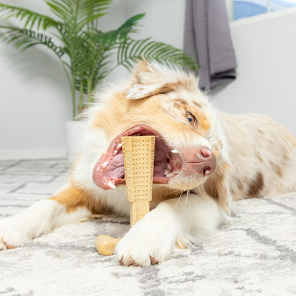 Bam-Bones Plus T-Bone Chew Toy for Dogs - Durable Bamboo & Nylon, Chicken Flavor, Perfect for Medium Chewers 30-60 lbs