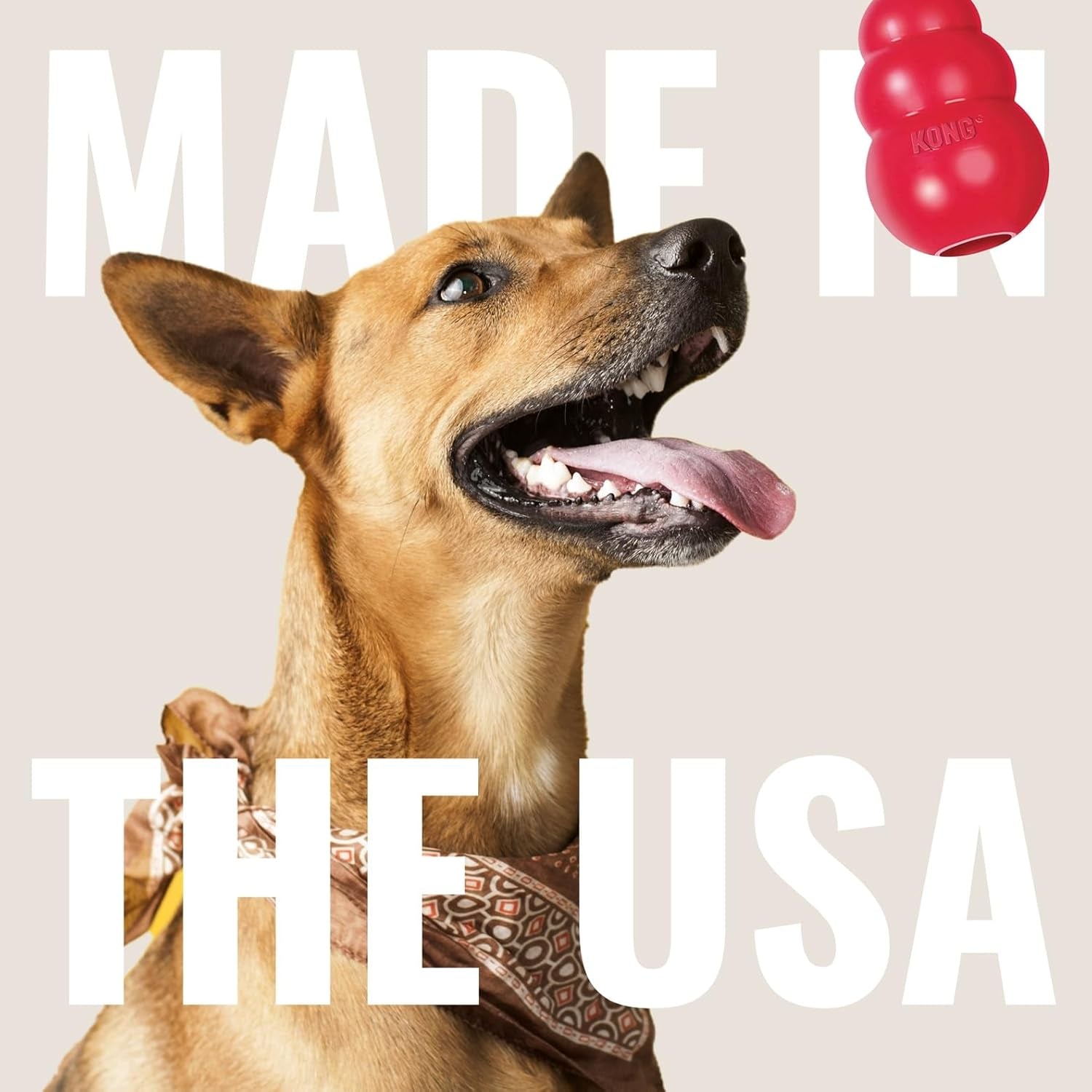 Ring - Natural Rubber Ring Toy for Healthy Chewing Habits - Chew Toy Supports Dog Dental Health - Dog Toy Supports Instincts during Playtime - for Medium/Large Dogs