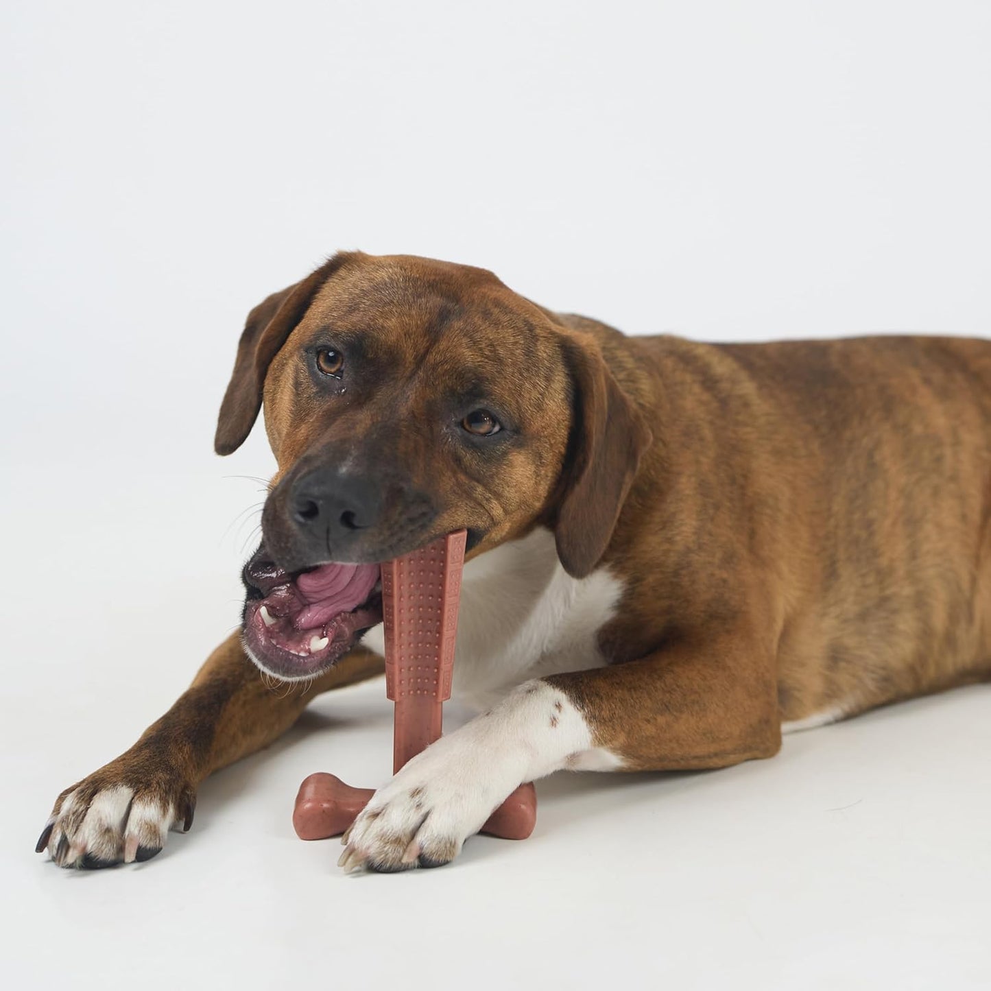 Bam-Bones plus T Bone – Bamboo Fiber & Nylon Dog Chew Toy for Moderate to Aggressive Chewers, Durable Long Lasting & Non-Splintering, Beef Flavor Toy for Adult Dogs & Puppies under 60 Lbs, 6 In