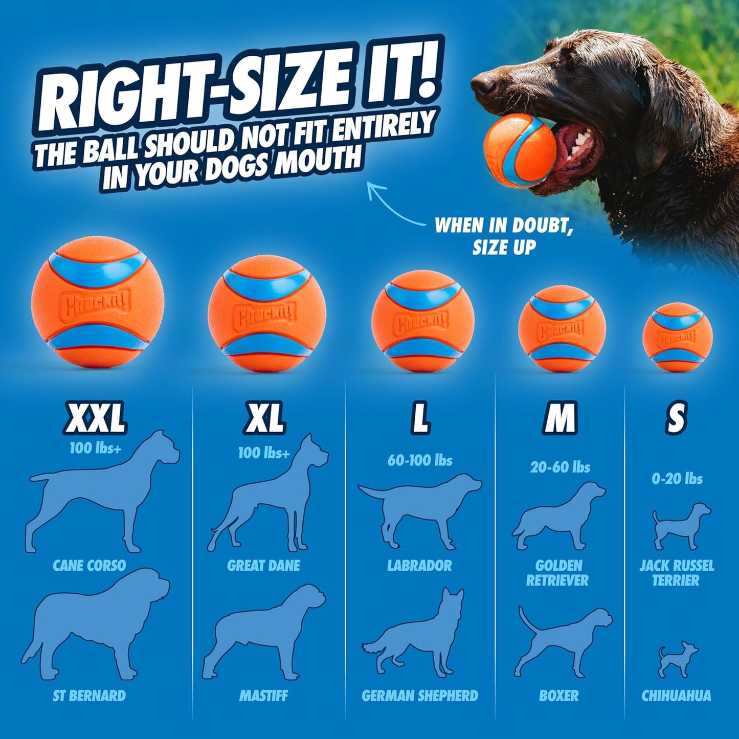 Dog Ball Launcher 12M Sport with 12" Handle Length for Medium 2.5" Dog Balls for Dogs 20-60 Lb, Plastic Pet Fetch Ball Thrower, Perfect for Kids, Made in USA, Blue