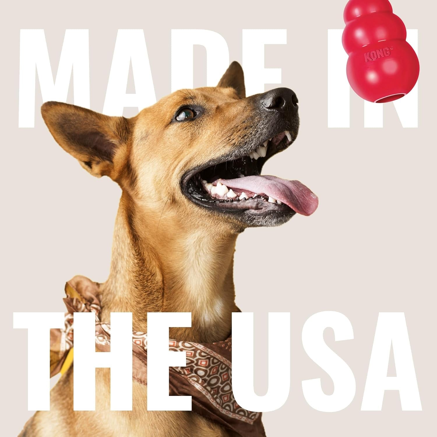KONG Flyer - Ultimate Durable Dog Fetch Toy for Small Dogs - Natural Rubber Flying Disc (2-Pack) for Active Outdoor Playtime