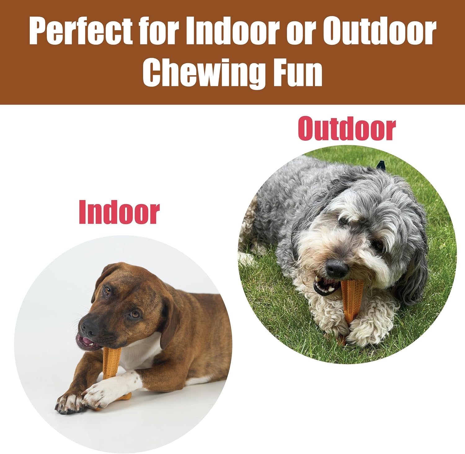 Bam-Bones plus T Bone - Bamboo Fiber & Nylon, Durable Long Lasting Dog Chew for Aggressive Chewers – Toy for Dogs & Puppies under 60Lbs, Non-Splintering, 6In, Allergen Free Peanut Butter Flavor