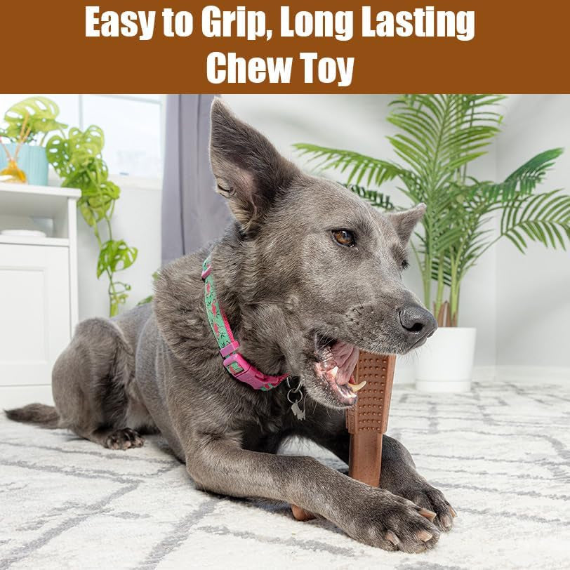 Bam-Bones plus T Bone – Bamboo Fiber & Nylon Dog Chew Toy for Moderate to Aggressive Chewers, Durable Long Lasting & Non-Splintering, Beef Flavor Toy for Adult Dogs & Puppies under 60 Lbs, 6 In