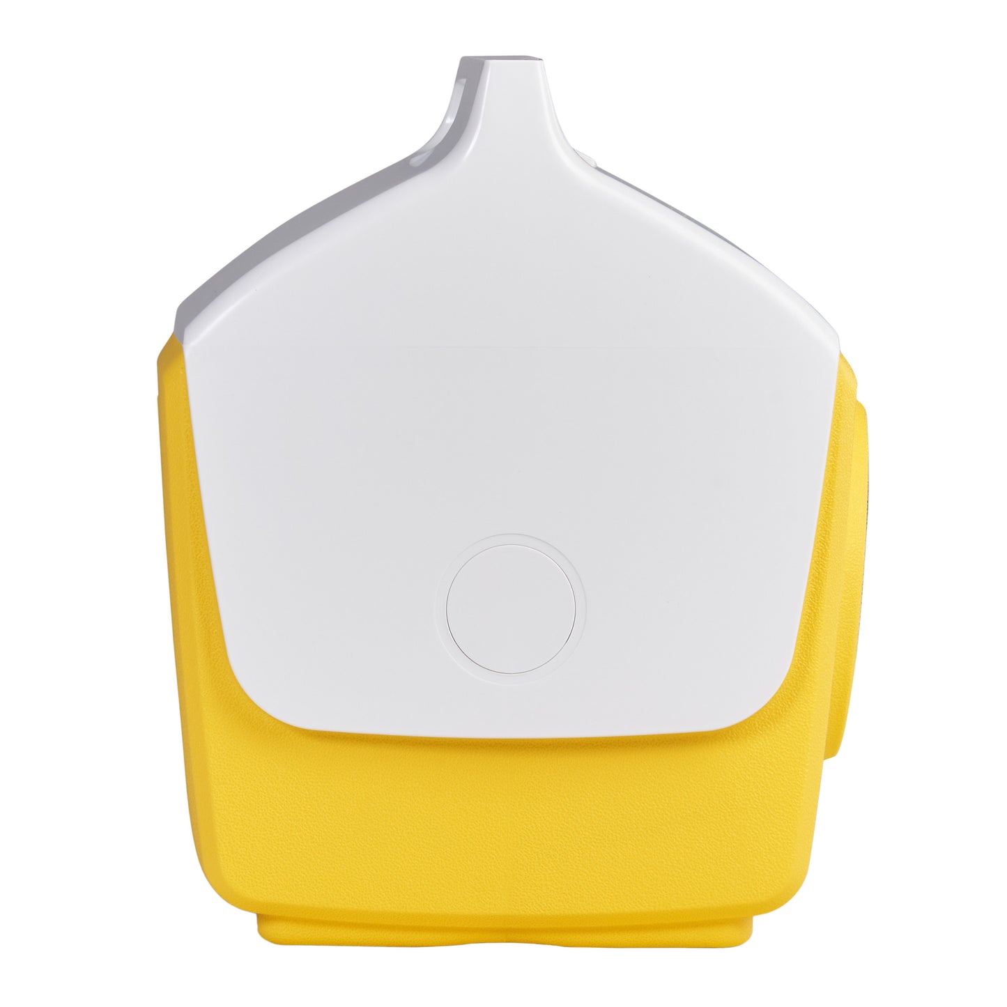 Igloo Kooltunes Bluetooth Speaker Cooler