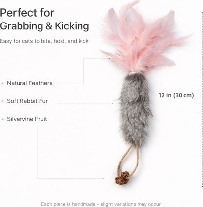 3 Pack Rabbit Fur Catnip Toys with Feathers – Interactive Carrot Cat Toys with Galls Fruit for Indoor Cats and Kittens