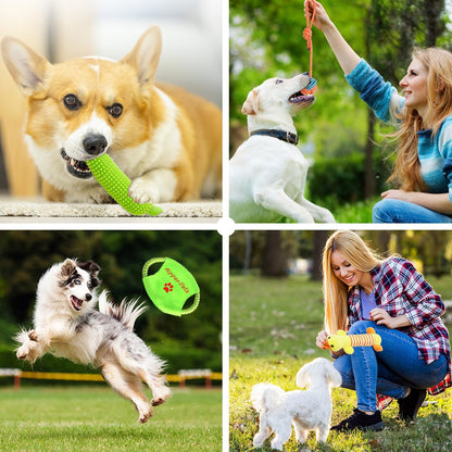 Dog Toys 25 Pack for Fun and Teeth Cleaning, Puppy Chew Toys Pack with Squeak Plush Toy,Squeaky Toy Balls,Tug of War and Rope Toys for Puppy to Small Dogs